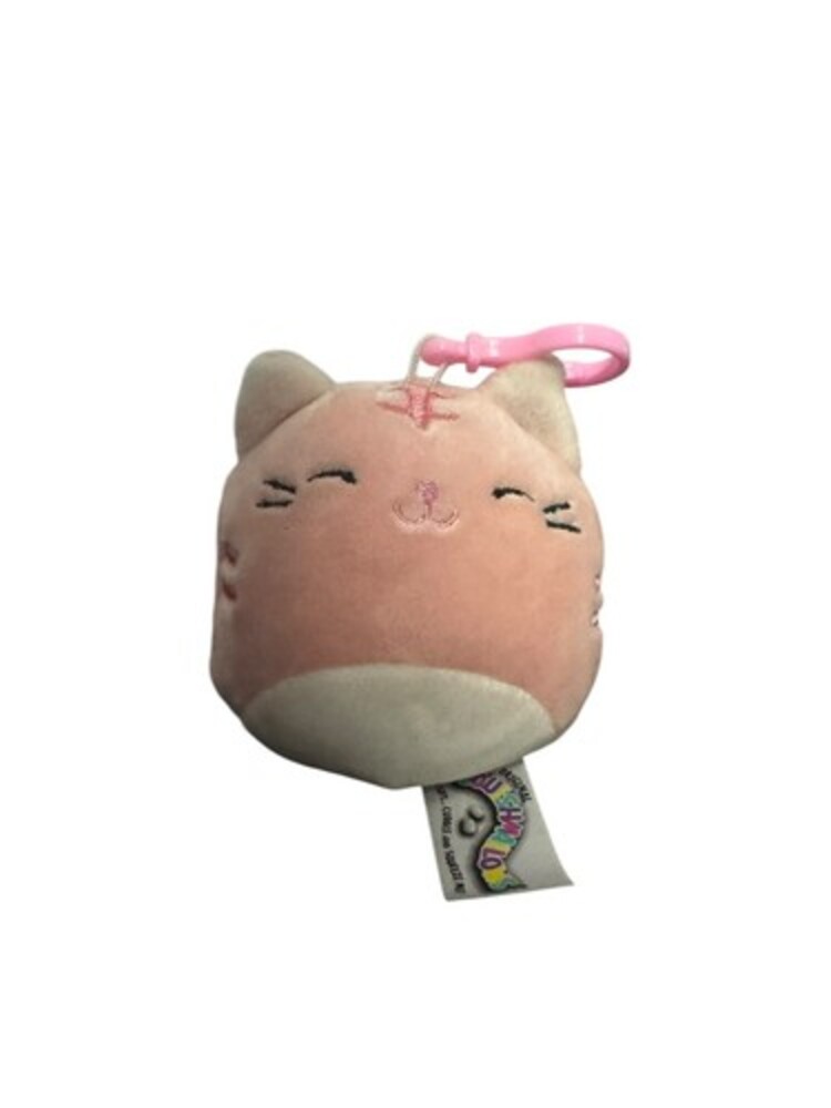 Paulita The Pink Tabby Cat Squishmallow 3.5 In Clip On Kellytoy Clipon Plush